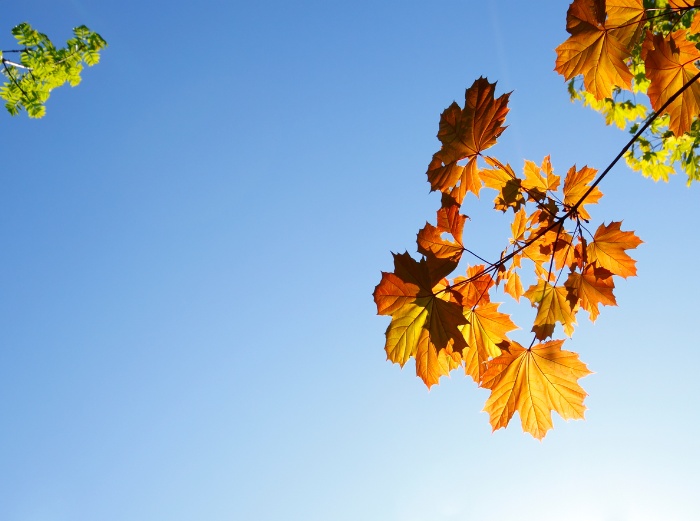 peut-on prendre de la vitamine D tous les jours ?