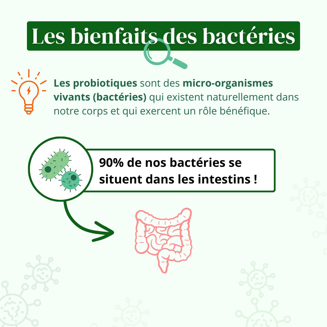 VEGAFLORE (Fibres et ferments lactiques)