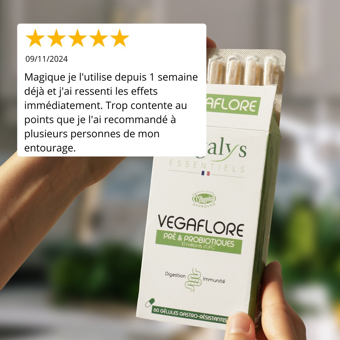 VEGAFLORE (Fibres et ferments lactiques)